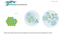 Desktop Screenshot of evolvingorganisation.com